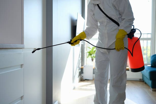 Best Mold Cleaning Services  in Forest City, IA